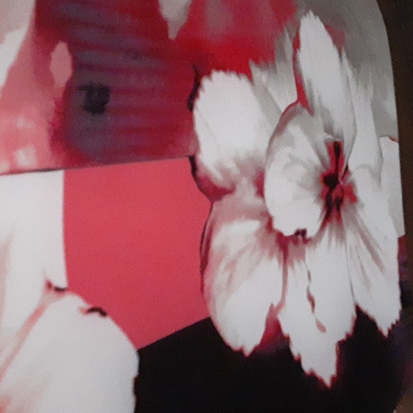 Calvin Klein sz 4 floral short sleeve dress - Picture 5 of 8